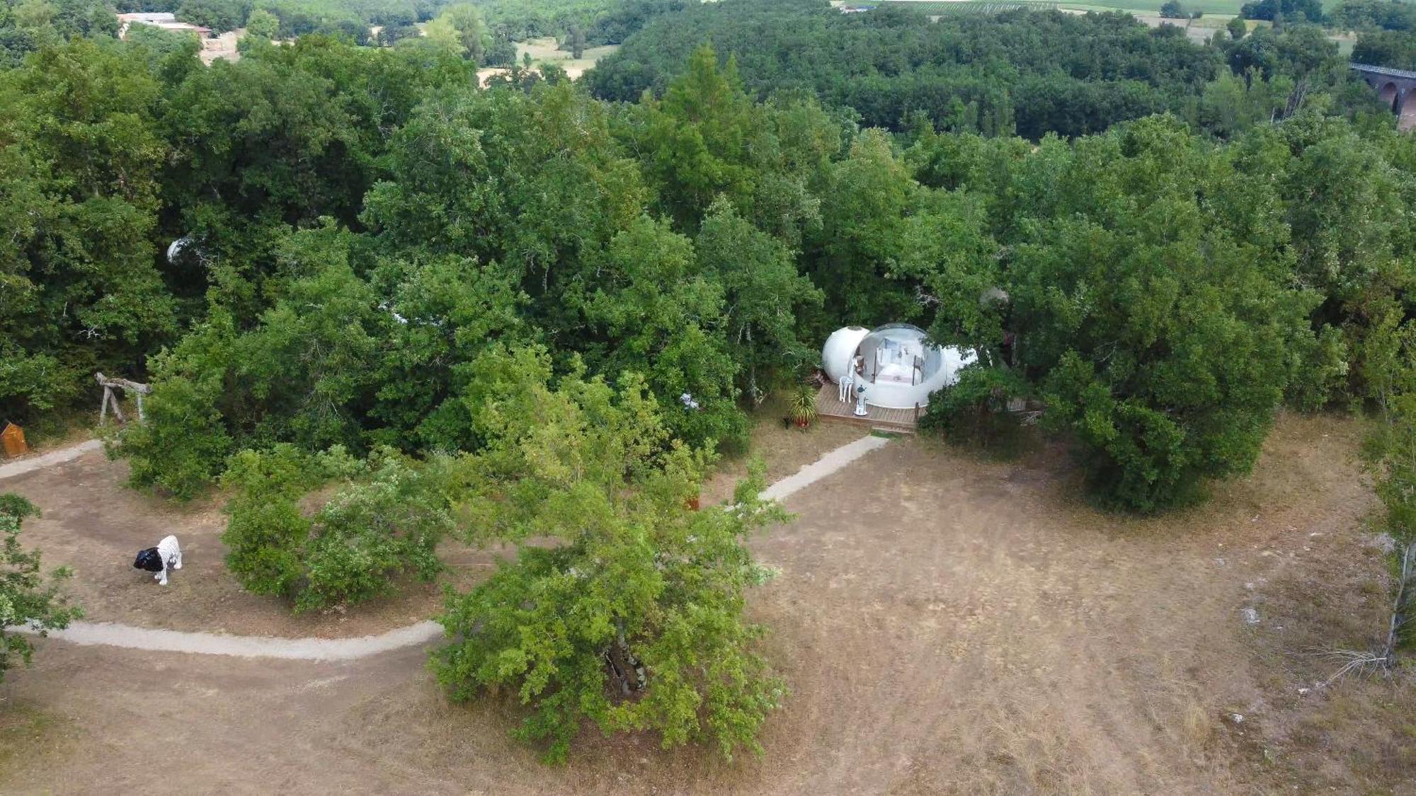 Villa Coeur De Bull' Cahuzac-sur-Vère Camera foto